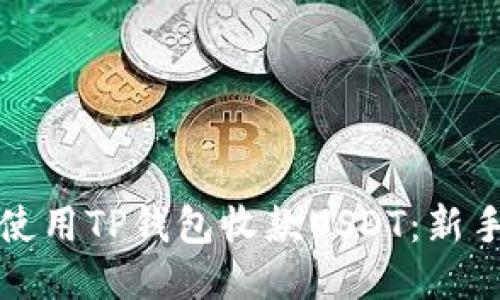 如何高效使用TP钱包收款USDT:新手必看指南