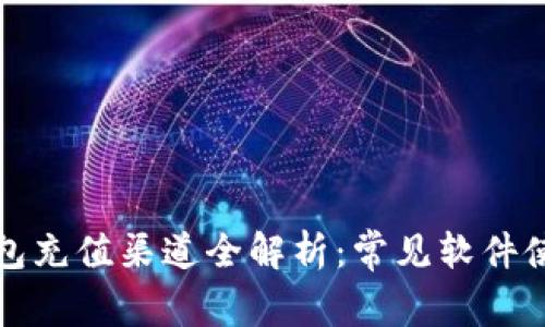 数字钱包充值渠道全解析:常见软件使用指南