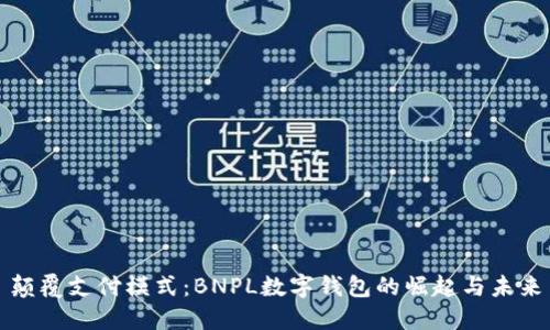 颠覆支付模式:BNPL数字钱包的崛起与未来