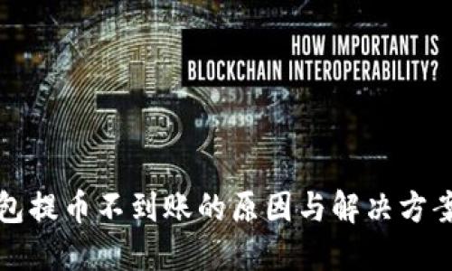 TP钱包提币不到账的原因与解决方案详解