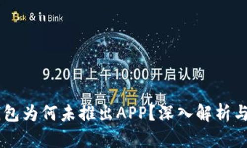 新版TP钱包为何未推出APP?深入解析与未来展望
