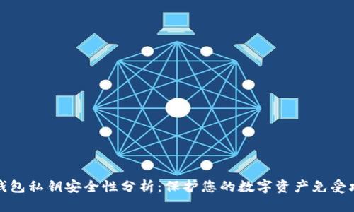 TP钱包私钥安全性分析：保护您的数字资产免受攻击