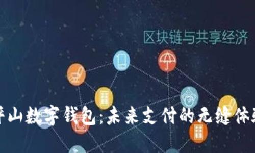坪山数字钱包：未来支付的无缝体验