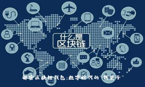 解密区块链钱包:数字时代的“钱袋子”