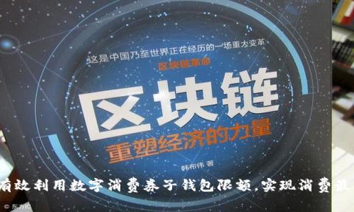 如何有效利用数字消费券子钱包限额,实现消费最大化?