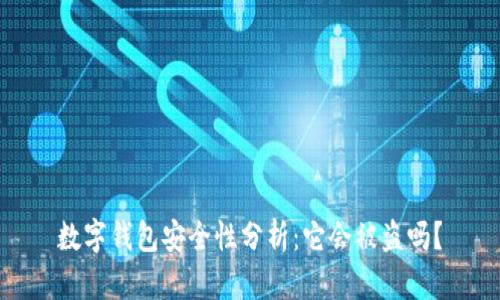 数字钱包安全性分析:它会被盗吗?