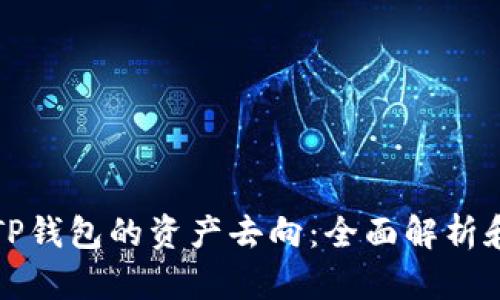 如何追踪TP钱包的资产去向:全面解析和实用指南