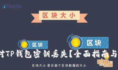 如何应对TP钱包密钥丢失?全面指南与解决方案