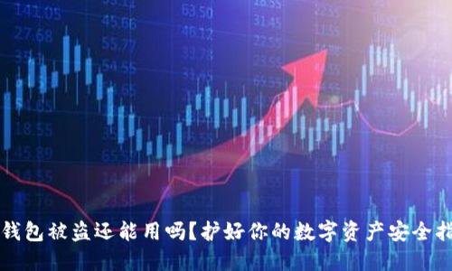 TP钱包被盗还能用吗?护好你的数字资产安全指南