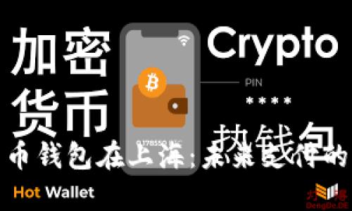 数字人民币钱包在上海:未来支付的便捷之旅