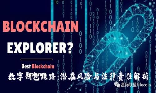 数字钱包跑路:潜在风险与法律责任解析