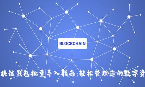 区块链钱包批量导入指南:轻松管理您的数字资产