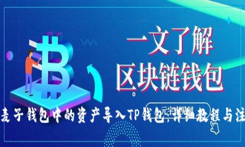 如何将麦子钱包中的资产导入TP钱包:详细教程与注意事项
