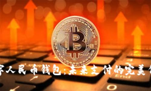 数字人民币钱包:未来支付的完美伴侣