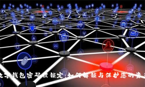 数字钱包密码被锁定:如何解锁与保护您的资产