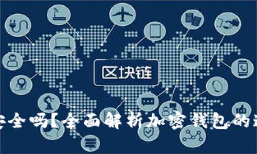 各大加密钱包安全吗?全面解析加密钱包的通用性与安全性