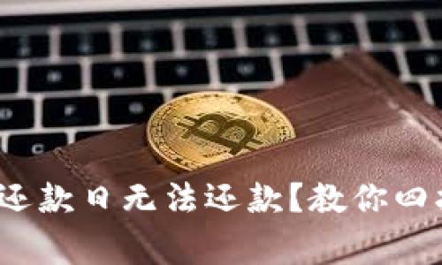 数字钱包还款日无法还款?教你四招妥善应对