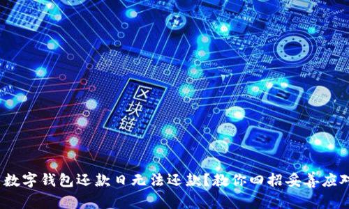 数字钱包还款日无法还款?教你四招妥善应对