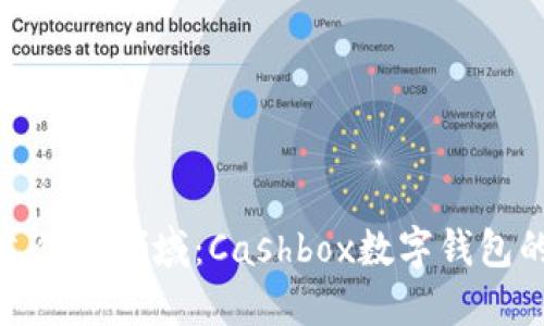 踏入未来支付新领域:Cashbox数字钱包的全新体验