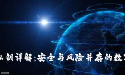 区块链钱包私钥详解:安全与风险并存的数字资产护身符