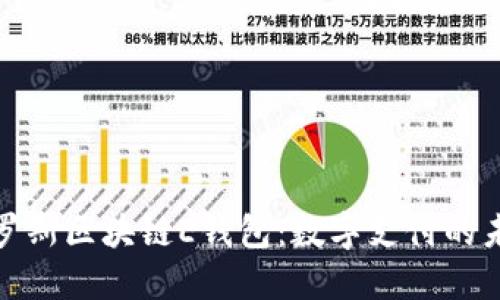 探索俄罗斯区块链E钱包:数字支付的未来之路