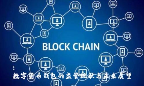 :
数字货币钱包的监管现状与未来展望