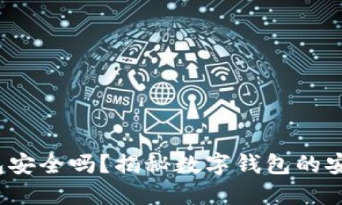 钱转到数字钱包安全吗?揭秘数字钱包的安全性与使用技巧