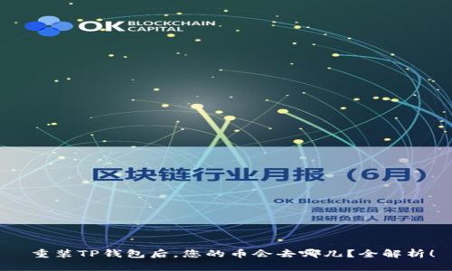 重装TP钱包后,您的币会去哪儿?全解析!
