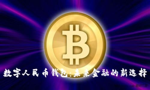 数字人民币钱包:未来金融的新选择