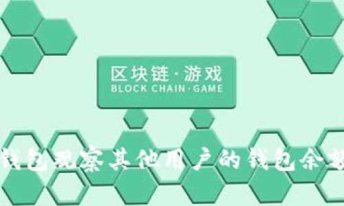 如何使用TP钱包观察其他用户的钱包余额及交易记录