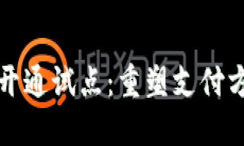 数字钱包开通试点:重塑支付方式的未来