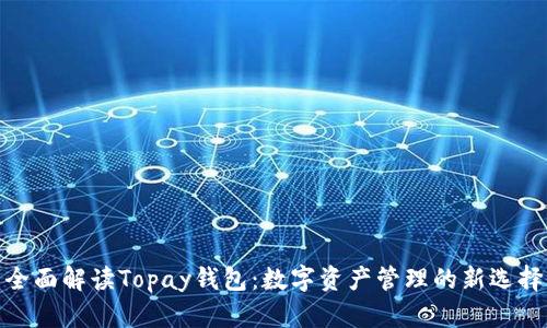 全面解读Topay钱包:数字资产管理的新选择