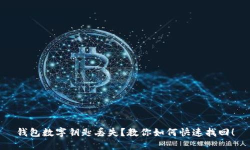 钱包数字钥匙丢失?教你如何快速找回!