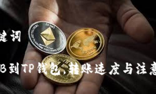和关键词
从BNB到TP钱包,转账速度与注意事项