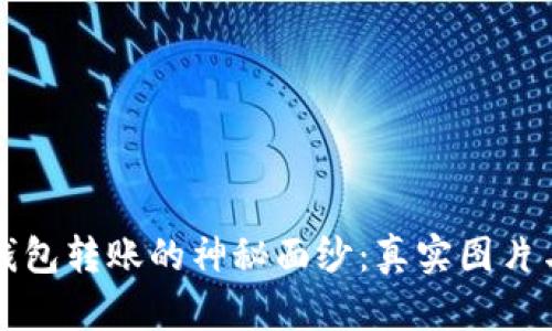 揭开加密钱包转账的神秘面纱:真实图片与操作指南