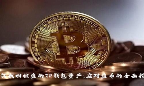 如何找回被盗的TP钱包资产:应对盗币的全面指南