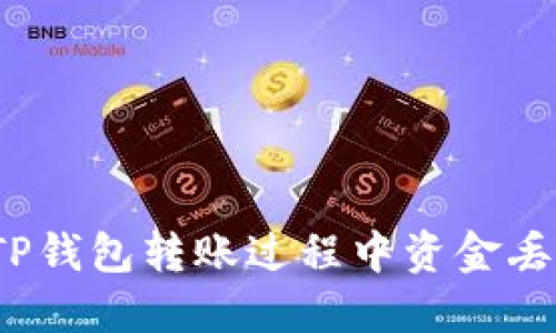 如何处理TP钱包转账过程中资金丢失的情况?