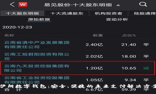 伊朗数字钱包:安全、便捷的未来支付解决方案