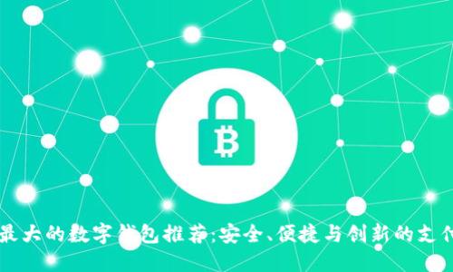 美国最大的数字钱包推荐:安全、便捷与创新的支付方式