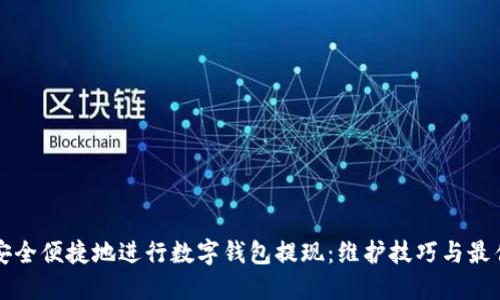 如何安全便捷地进行数字钱包提现:维护技巧与最佳实践