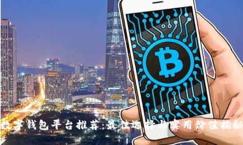 数字钱包平台推荐:最佳选择与实用价值揭秘