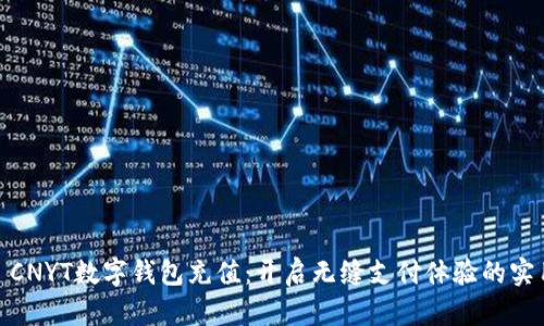 建议: CNYT数字钱包充值：开启无缝支付体验的实用指南