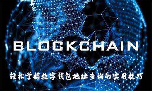 轻松掌握数字钱包地址查询的实用技巧