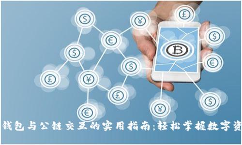 区块链钱包与公链交互的实用指南:轻松掌握数字资产管理