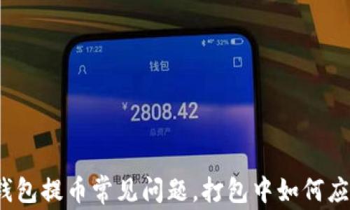 TP钱包提币常见问题,打包中如何应对?