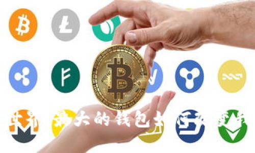 : 探寻区块链世界:最大的钱包如何改变我们的财务未来