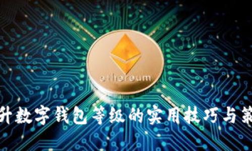 提升数字钱包等级的实用技巧与策略