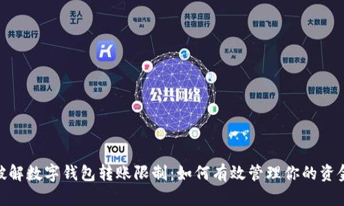 破解数字钱包转账限制:如何有效管理你的资金