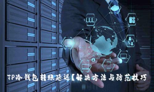 TP冷钱包转账延迟?解决方法与防范技巧