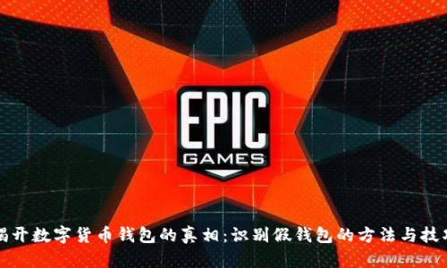 揭开数字货币钱包的真相：识别假钱包的方法与技巧